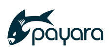 Payara Services
